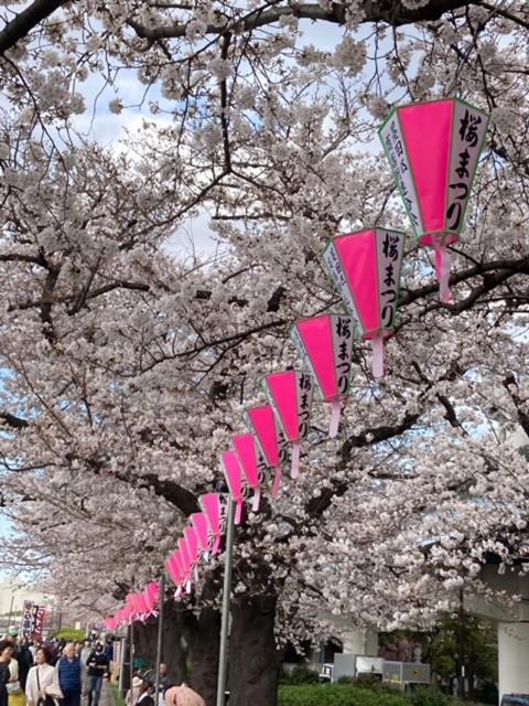 Sky Tree Appartamento *