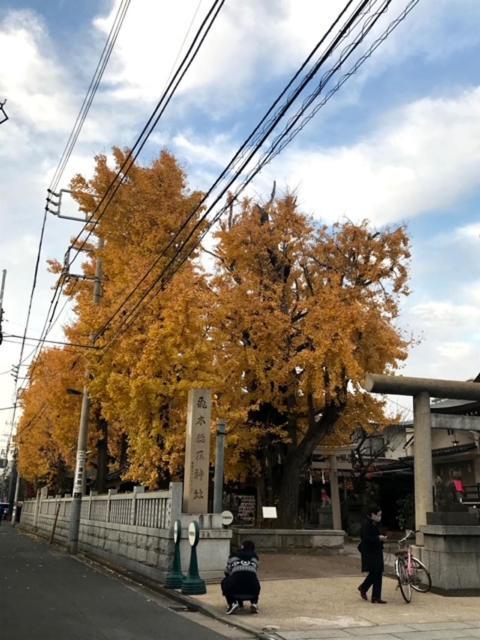 Appartamento Sky Tree